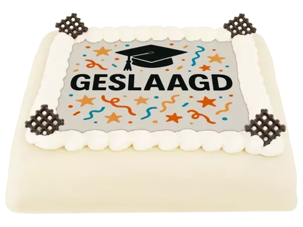 Marsepeintaart geslaagd